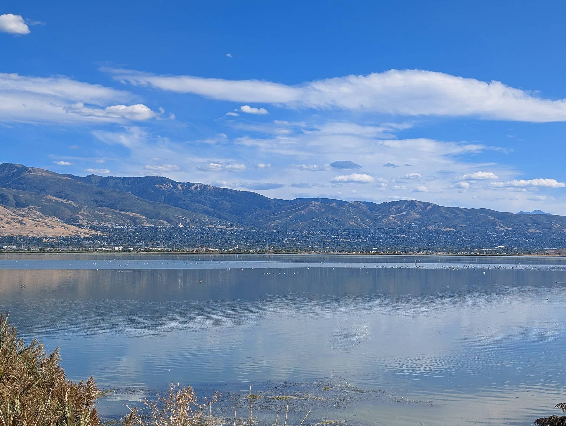 Bountiful Utah dumpster rental
